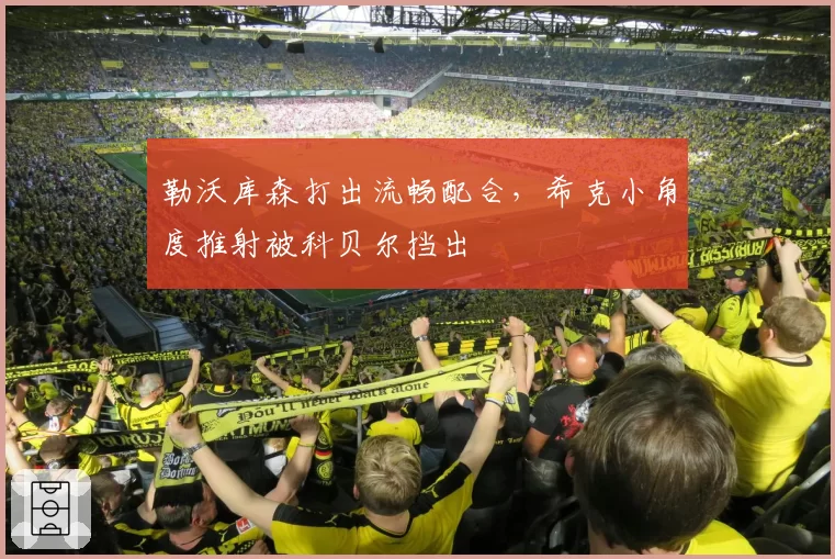 勒沃库森打出流畅配合，希克小角度推射被科贝尔挡出