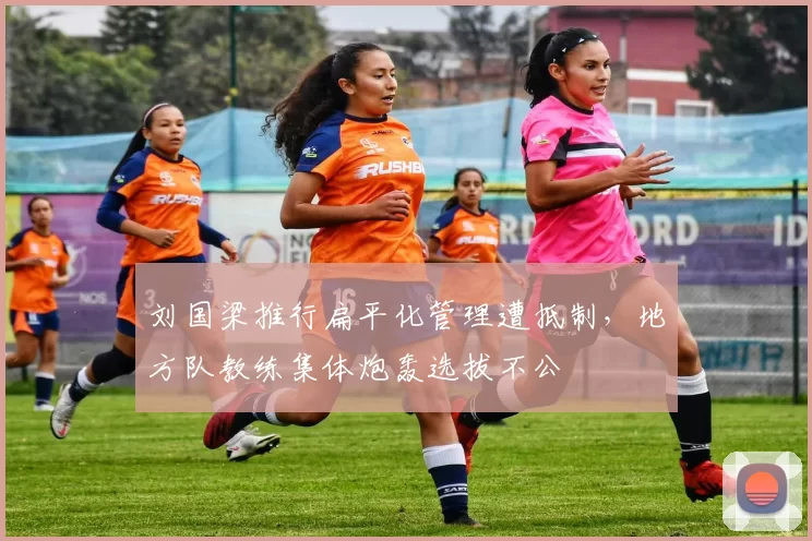 刘国梁推行扁平化管理遭抵制,地方队教练集体炮轰选拔不公