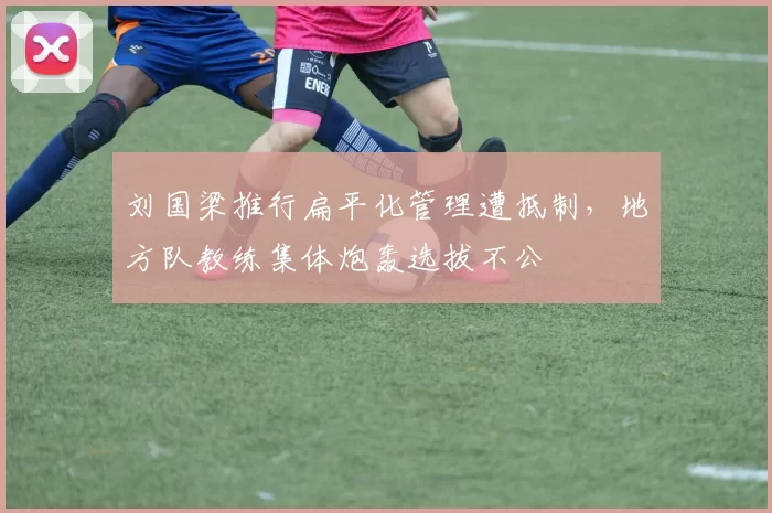 刘国梁推行扁平化管理遭抵制,地方队教练集体炮轰选拔不公